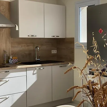 Agreable A 700m De La - Fr-1-336-161 Longeville-sur-Mer