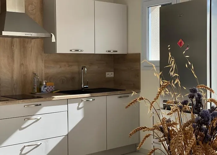 Agreable A 700m De La - Fr-1-336-161 Longeville-sur-Mer